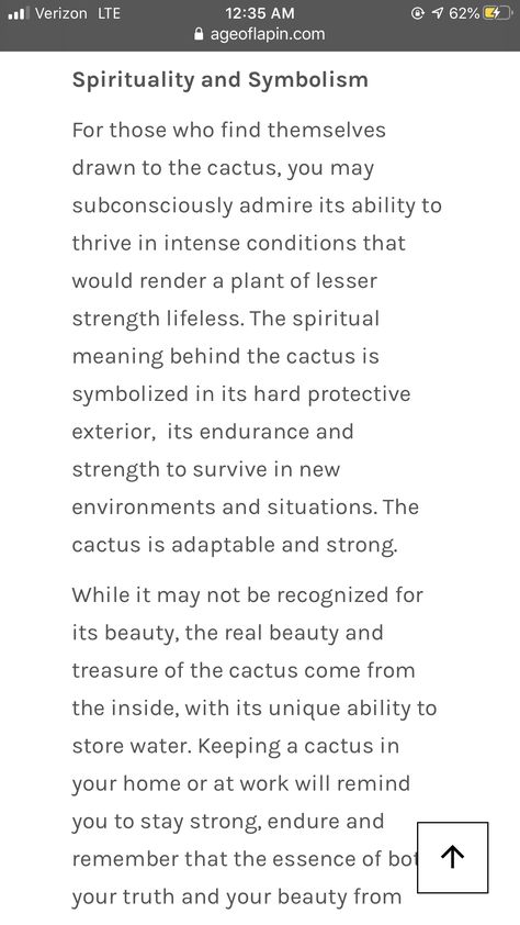 Cactus Tattoo Meaning, Cactus Spiritual Meaning, Cactus Symbolism Meaning, 2025 Thoughts, Cactus Meaning, Plant Symbolism, Word Ideas, Tattoos Inspo, Cactus Tattoo