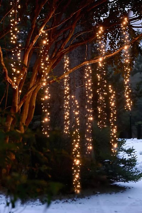 Unique Lamp Shades & Lighting | Anthropologie Porch Eaves, Twinkling Tree, Outdoor Tree Lighting, Cascade Lights, Outdoor Trees, Sparkling Lights, Creative Living, Hand Poured Candle, Unique Lamps