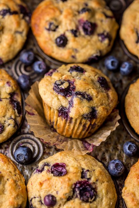 Honey Blueberry Muffins, Greek Yogurt And Honey, Blueberry Muffin Recipe Healthy, Healthy Blueberry Muffins, Yogurt Muffins, Baker By Nature, Jumbo Muffins, Healthy Greek Yogurt, Cinnamon Muffins