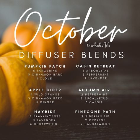 October Diffuser Blends, Diffuser Blends For Fall, Pumpkin Essential Oil, Orange Essential Oil Blends, Cassia Essential Oil, Fall Essential Oils, Fall Diffuser Blends, Cabin Retreat, Doterra Essential Oils Recipes