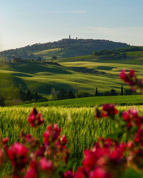 Spring In Pienza, Tuscany Tuscany Spring, Oregon Usa, National Parks Trip, Ski Trip, Crete, Bald Eagle, Tuscany, Instagram A, Cool Pictures