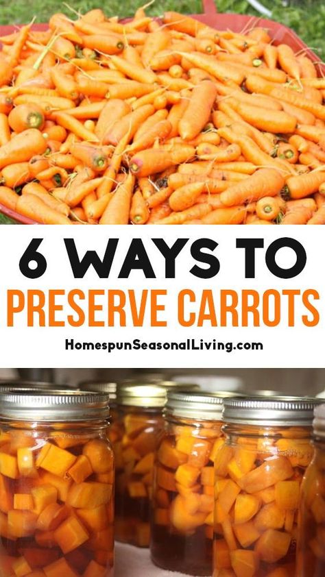 Preserve Carrots, Can Carrots, Canning Carrots, Canned Carrots, Canning Vegetables, Canning Food Preservation, Canning Tips, Water Bath Canning, Hot Pack