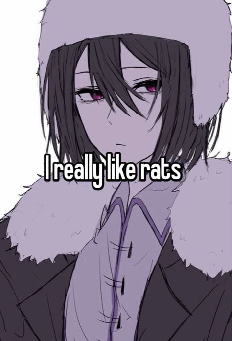 Fyodor Rat Meme, Fyodor Outfit, Fyodor Wan, Fyodor Dostoyevsky Bsd Fanart, Fyodor Fanart, Rat Boy, Fyodor Dostoevsky, Bsd Memes, Rat Man