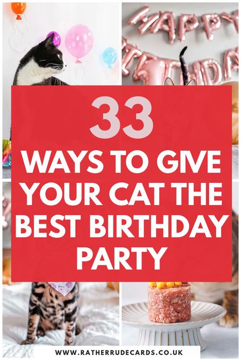 Best cat birthday party ideas for your pet, best cat birthday gift ideas and how to treat and spoil your cat or kitten on their birthday ideas Birthday Treat For Cat, Cat Birthday Treats, Birthday For Cat Pets, Cake For A Cat, Cat Birthday For Cats, Cat Birthday Party Ideas For Cats, Pet Cat Birthday Party Ideas, Birthday For Cat Ideas, Diy Cat Birthday Cake