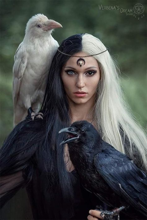 Witch Girl, Raven Art, Fantasy Photography, Witch Aesthetic, Fantasy Aesthetic, Edgar Allan Poe, Crows, Art Reference Photos, Dark Art