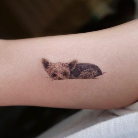 Small Dog Tattoos, Pet Tattoos, Tribute Tattoos, Dog Memorial Tattoos, Paw Tattoo, Tasteful Tattoos, Petite Tattoos, Tiny Tattoo, Memorial Tattoos