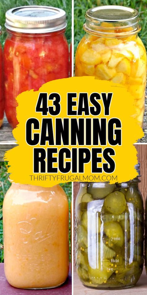 Canning doesn't have to feel overwhelming! These easy recipes will help you confidently can everything from tomatoes to peaches to pickles to jam and so much more. Easy Canning Recipes, Canning Pickles Recipe, Water Bath Canning Recipes, Easy Canning, Pressure Canning Recipes, Canning Peaches, Canning Kitchen, Canning 101, Canning Pickles