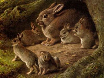 samuel john carter art | Rabbits in a Wood] Gourd Animals, Rabbit Warren, British Paintings, Alevel Art, Rabbit Artwork, Picture Drawing, Background Painting, Rabbit Painting, Fox And Rabbit