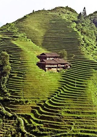 Terrace Farming, Guilin, A Hill, China Travel, Bhutan, Alam Yang Indah, Mongolia, Pretty Places, Places Around The World