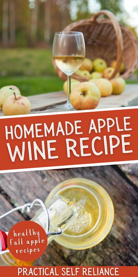 Cook With Wine Recipes, Apple Wine From Apples, Making Liquor At Home, Apple Pie Wine Recipes, Fall Mead Recipe, Homemade Apple Wine, Crab Apple Wine Recipe, Homemade Fruit Wine Recipes, Herbal Wine Recipe