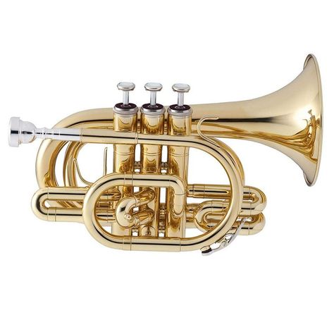 Our Jupiter pocket trumpet review will help you decide if this instrument is the right choice for you. It is very expensive, but is it worth the price. It may not ... Piccolo Instrument, Symphonic Orchestra, Pocket Trumpet, Yellow Stuff, Music And The Brain, Brass Instruments, Street Musician, Blue Green Eyes, Trumpets