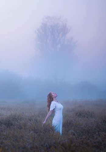 By Elizabeth Gadd. Fog Photography, Nature Photoshoot, Dreamy Photography, Misty Morning, Foggy Morning, Outdoor Portraits, Portrait Design, Photoshoot Concept, Rain Photography