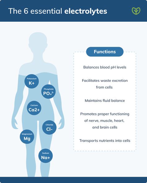 What Are Electrolytes and Why Are They Important? | Fullscript I Am A God, Nervous System Activities, Potassium Deficiency, Natural Electrolytes, Acid Base Balance, Severe Burns, Fluid And Electrolytes, Loving Wife, Muscle Weakness