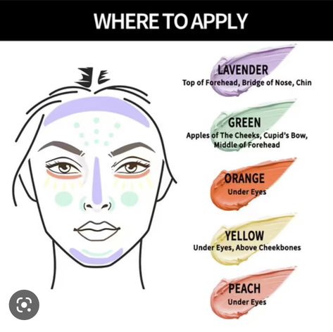 Colour Correcting Makeup, Yellow Concealer, The Tarot Cards, Makeup Charts, Makeup Tutorial Foundation, Makeup Order, Makeup Brushes Guide, Learn Makeup, Beginners Eye Makeup