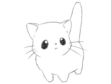 Cute Cat Drawing Easy, Anime Kitten, Chat Kawaii, Chibi Cat, Drawing Eyes, Drawing Hair, Cat Kawaii, Cute Cat Drawing, Art Mignon