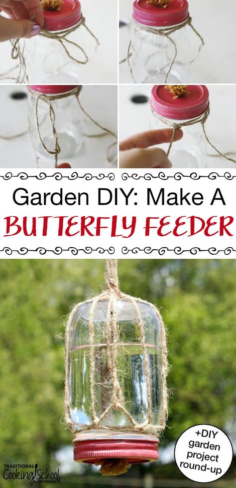 Butterfly Food, Butterfly Feeders, Butterfly Feeder, Diy Butterfly, Meteor Garden 2018, Garden Crafts Diy, Diy Birds, Humming Bird Feeders, Diy Garden Projects