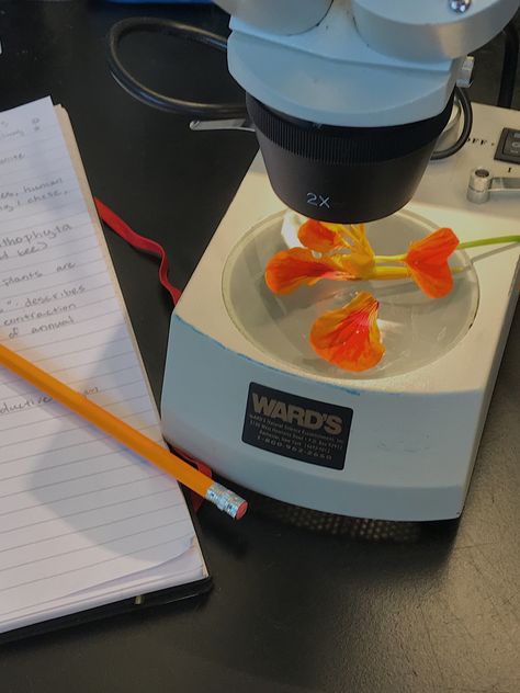 Orange Science Aesthetic, Microscopy Aesthetic, Environment Science Aesthetic, Plant Science Aesthetic, Geneticist Aesthetic, Environmental Science Aesthetic, Microscope Aesthetic, Biotechnology Aesthetic, The Love Hypothesis Ali Hazelwood