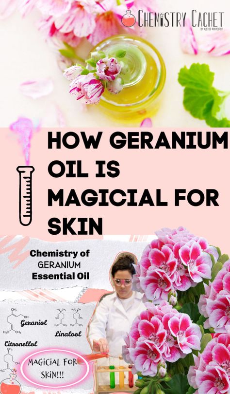 Essential Oils For Face, Aesthetic Dermatology, Rose Geranium Essential Oil, Essential Oil Mixes, Essential Oils For Skin, Geranium Oil, Essential Oil Benefits, Geranium Essential Oil, Plant Therapy