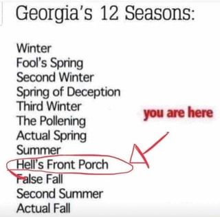 Georgia's 12 Seasons: Winter Fool’s Spring Second Winter Spring of Deception Third Winter The Pollening pl ll ““ Actual Spn'ng Summer “WA -Fa I Second Summer Actual Fall – popular memes on the site ifunny.co Texas Meme, Texas Winter, Texas Humor, Texas Weather, Weather Quotes, Storybook Wedding, Seasons Winter, Strong Marriage, Atlanta Wedding