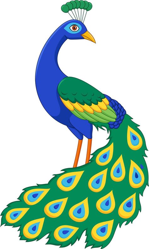 Peacock Cartoon Drawing, Peacock Art Drawing, Peacock Drawing For Kids, Drawing Of Peacock, Peacock Drawing Images, Peacock For Kids, Peacock Drawing Easy, Peacock Drawings, Peacock Cartoon