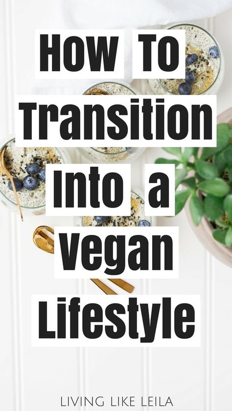 How to Transition into a Vegan Lifestyle - Living like Leila Benefits Of Vegetarian Diet, Vegan Coffee Creamer, Vegan Lifestyle Inspiration, Oxalate Diet, Vegan Transition, Low Oxalate, How To Become Vegan, Reading Food Labels, Vegetarian Lifestyle