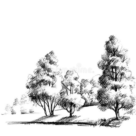 Forest sketch royalty free illustration Forest Sketch, Interior Architecture Sketch, Sketch Beautiful, Forest Drawing, Interior Architecture Drawing, Nature Art Drawings, Nature Sketch, Tree Sketches, Landscape Sketch