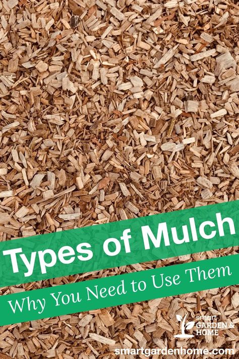 Wood Chip Mulch, Compost Mulch, Tree Mulch, Small Flowering Plants, Straw Mulch, Types Of Mulch, Pulling Weeds, Wood Mulch, Composting At Home