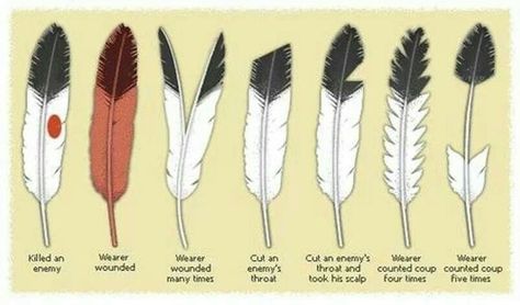 Native American Eagle Feather | Brave's Eagle feather achievments Indian Feather Tattoos, Feather Tattoo Meaning, Feather Meaning, Types Of Feathers, Indian Symbols, Native American Feathers, History Tattoos, Indian Feathers, Feather Tattoo Design