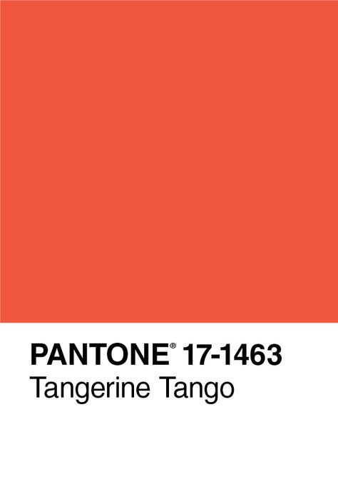 #pinpantone Pantone Color of the Year 2012 Tangerine Tango, journal cover Tangerine Pantone, Pantone Red, Pantone Color Of The Year, Journal Cover, Get To Know Me, Journal Covers, Color Of The Year, Color Pallets, Pantone Color