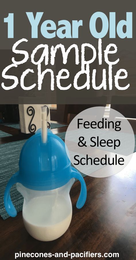 Baby Wise, Baby Routine, Baby Feeding Schedule, Toddler Schedule, Baby Schedule, Sleep Schedule, Led Weaning, Baby Led Weaning, One Year Old