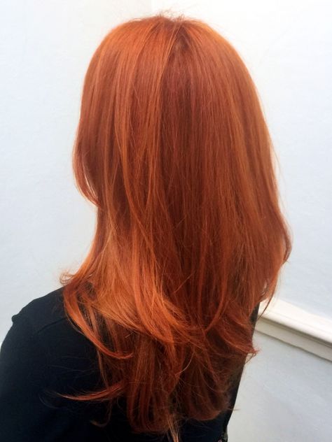 Hair Color Orange Red, Red Ginger Hair, Orange Red Hair, Orange Hair Color, Red Orange Hair, Ginger Red, Hair Color Orange, Red Hair Inspo, Ginger Hair Color