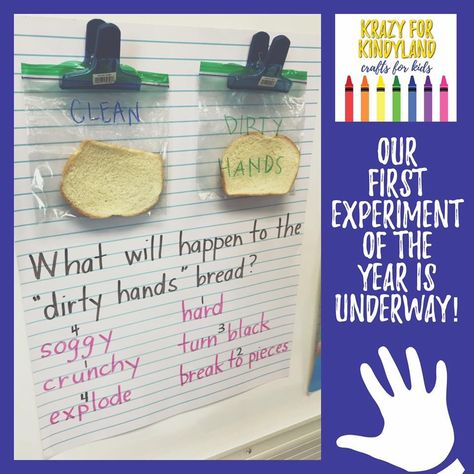 Germ Experiment, Germ Crafts, Germs Preschool, Germs Lessons, Healthy Habits Activities, Healthy Habits Preschool, Germs Activities, Hygiene Activities, Activity For Kindergarten