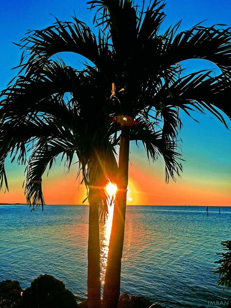 https://flic.kr/p/Nk6JNq | Sunset Through Palm Tree Tampa Bay Florida - IMRAN™ | It was so wonderful to spend time IN the water of Tampa Bay Florida today, even though it had been in the 40s in some parts of Florida last night, and snow has already started in New York and other areas for this year's winter. Afterwards, working on something on the side of the house I saw that the setting sun captured through the limbs of one of the palm tree pairs around my blessed home would make a fabulous ... Email Icon Png, Email Icon, Tampa Bay Florida, Tree Sunset, Palm Tree Sunset, Sky View, Tree Wallpaper, Aesthetic Desktop Wallpaper, Setting Sun