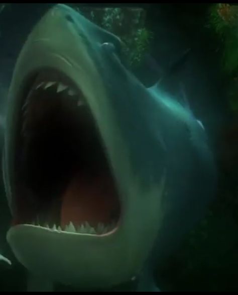 Finding Nemo Bruce Bruce Nemo, Bruce From Finding Nemo, Bruce Finding Nemo, Oscar Shark Tale, Nemo Memes, Nemo Bruce, Shark Tale, Sharks Funny, Finding Dory