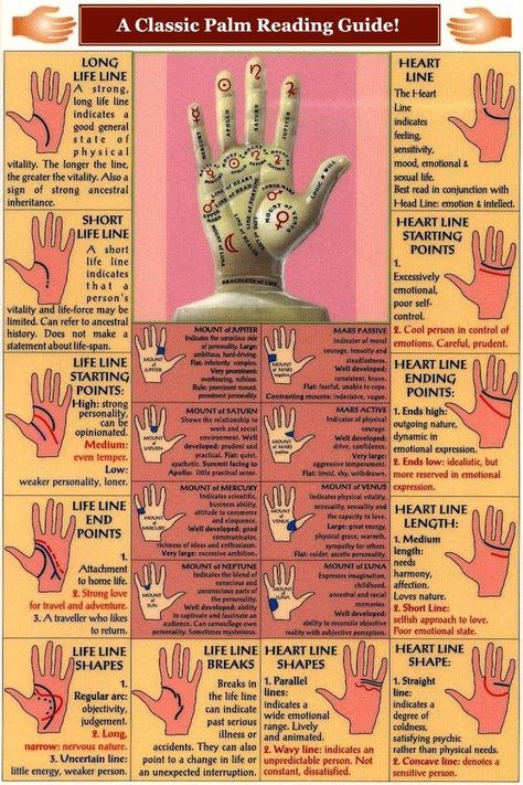 Palmistry Reading, Palm Lines, Magia Das Ervas, Palm Reading, Fortune Telling, Spell Book, The Palm, Book Of Shadows, Tarot Cards