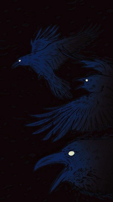 Dark Wings, Crow Art, 2160x3840 Wallpaper, Raven Art, Backgrounds Phone Wallpapers, You Know It, Epic Art, Crows, Dark Wallpaper