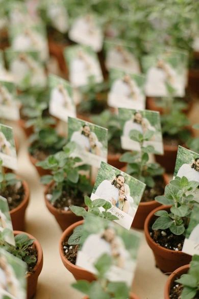 You Are Going To Love Where This Bride Got Her Wedding Inspiration! Plant Wedding Souvenir, Plant Souvenir, Rustic Fall Wedding Favors, Plant Wedding Favors, Rustic Bridal Shower Favors, Boho Wedding Favours, Sweet Wedding Favors, Romantic Rustic Wedding, Wedding Favor Ideas