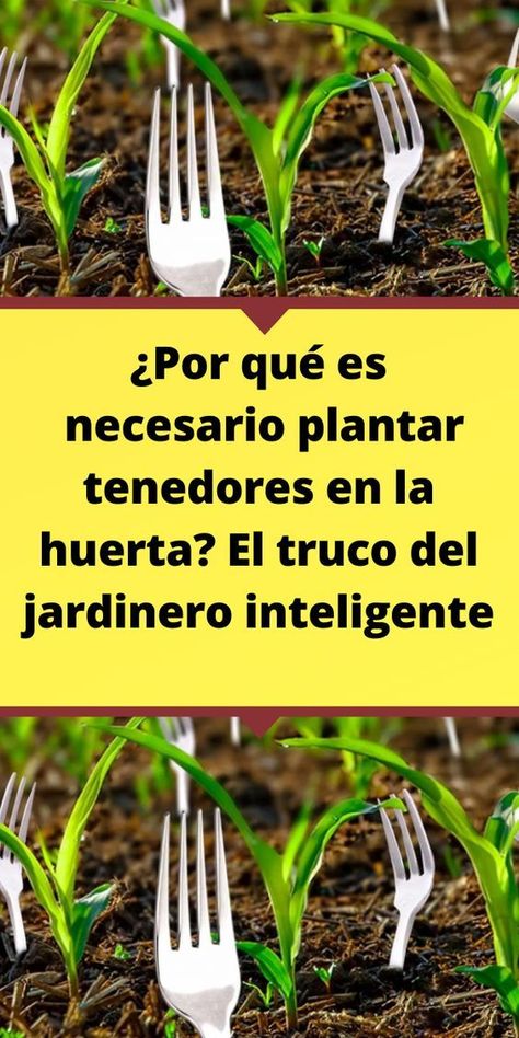 ¿Por qué es necesario plantar tenedores en la huerta? El truco del jardinero inteligente Manualidades Para Jardin Ideas, Invernaderos Ideas, Ideas Para El Jardin, Ideas Para Jardin, Huerta En Casa Ideas, Ideas Para Cuadros, Suculentas Ideas, Ideas Terraza, Desert Homes