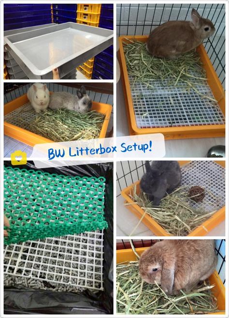 Diy Rabbit Litter Box With Grate, Bunny Hideout Diy Cardboard, Rabbit Litter Box Setup, Rabbit Cage Setup Indoor, Diy Bunny Litter Tray, Bunny Cage Setup Ideas, Indoor Rabbit Setup Ideas, Indoor Bunny Setup Small Space, Bunny Litter Box Ideas Diy