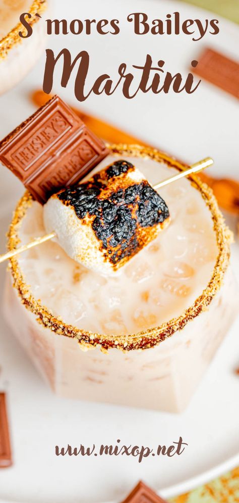 Baileys Smores Martini, Baileys Mixed Drinks, S’more Martini, S’mores Alcoholic Drinks, S’mores Martini Recipe, Baileys Smores Recipes Drinks, Smores Martini Recipe, Smores Drink, Smores Cocktail