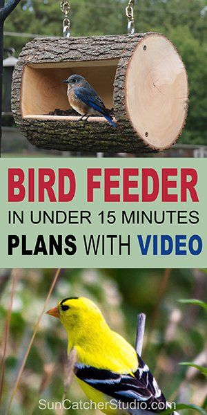 Garden Diy Furniture, Bird Feeder Plans, Nuthatches, Wooden Bird Feeders, Homemade Bird Houses, Homemade Bird Feeders, Bird House Feeder, Bird House Plans, Fallen Tree