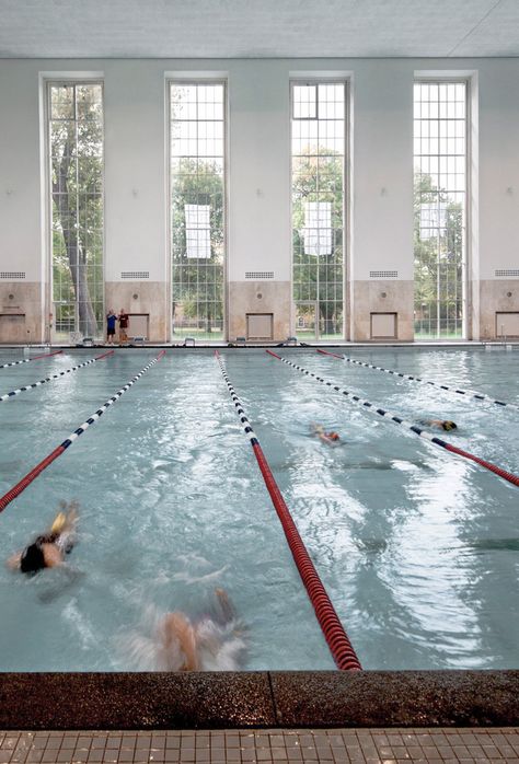 Gallery of Swimming Hall Finckensteinallee / Veauthier Meyer Architects - 4 Swimming Pool Architecture, Luxury Pools Indoor, Backyard Pool Design, Pool Hall, Sport Pool, Lap Swimming, Indoor Pools, Indoor Swimming Pool, Natural Swimming Pools