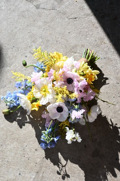 If you're after soft floaty blooms for your wedding bouquet, Spring is the perfect season for you. Delphinium, poppies, wattle, anemones and rannunculus are all flourishing. The perfect combo for your wedding flowers if you ask us. Wattle Bouquet, Poppy Wedding Bouquet, Blue Poppy Flower, Wedding Bouquet Spring, Anemone Bouquet, Bridal Bouquet Spring, Light Blue Wedding, Spring Bouquet, Nsw Australia