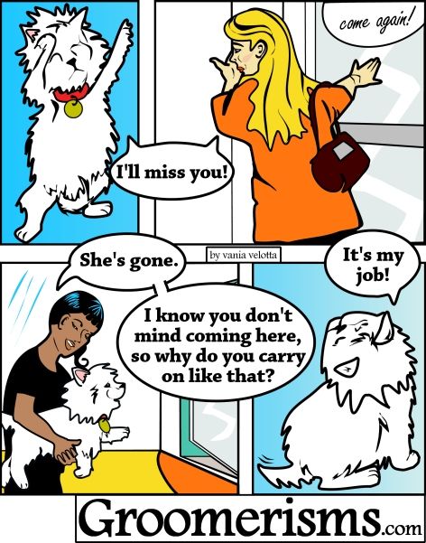 Parting Sorrow from groomerisms.com Dog Groomer Humor, Groomer Humor, Mobile Pet Grooming, Pet Grooming Salon, Creative Grooming, Dog Grooming Salons, Dog Hotel, Dog Grooming Tips, Grooming Style