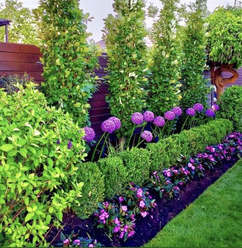 Layers! Layering different heights of flowers & greenery (hedges, cedars) in the garden for depth & interest for all the seasons. Photo curtesy: @planterdecor Front Yard Hedges, Ficus Hedge, Hedges Landscaping, Cedar Hedge, Flower Hedge, Yard Planters, Planter Decor, Evergreen Hedge, Garden Hedges