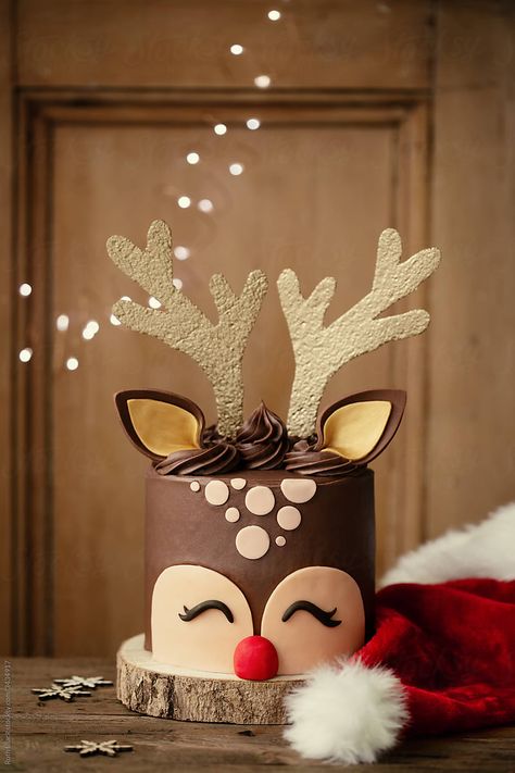 https://www.stocksy.com/3434917/reindeer-cake Christmas Cake Ideas, Winter Torte, Reindeer Cakes, Christmas Cakes Easy, Christmas Themed Cake, Christmas Cake Designs, Christmas Cake Decorations, Xmas Cake, Winter Cake