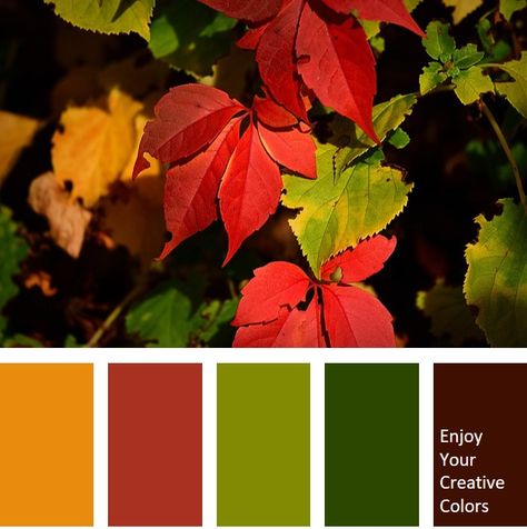 MillionShade.com - Enjoy your creative colors Orange Green Red Color Palette, Olive Green Red Color Palette, Olive Green Color Combinations, Red Green Color Palette, Color Palette Olive Green, Color Palette Red Green, Ochre Color Palette, Jungle Color Palette, Olive Green Color Palette