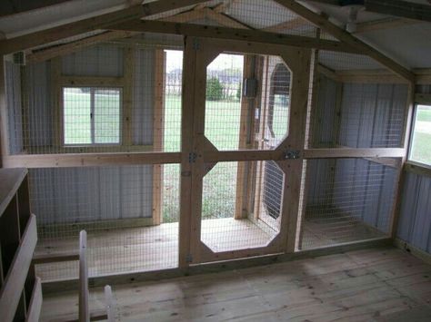 Inside a shed coop Shed Chicken Coop, Chicken Barn, Portable Chicken Coop, Chicken Pen, Coop Ideas, Coop Design, Best Chicken Coop, Chicken Coop Designs, Coop Plans