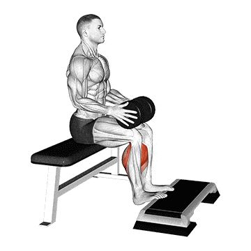 https://www.inspireusafoundation.org/wp-content/uploads/2021/06/weighted-seated-calf-raise.gif Calf Raises Exercise, Best Calf Exercises, Soleus Muscle, Muscle Booster, Calves Exercises, Free Workout Plans, Calf Exercises, Gluteal Muscles, Gym Workouts For Men