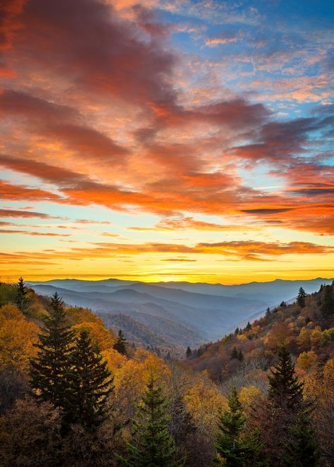 king fanatics will find few better places to visit in Tennessee than the Great Smoky Mountains National Park. With 850 miles of trails and unpaved roads to cover, there is so much to see and do for walking enthusiasts. Alum Cave Bluffs and Arch Rock are among the must-see sights within the grounds of the Great Smoky Mountains National Park, while experienced hikers can even take on the third highest summit in the park, Mount Le Conte. Asheville Mountains, Smokie Mountains, Sky Mural, Clingmans Dome, Smoky Mountains Vacation, Tennessee Vacation, Hiking National Parks, Cades Cove, Mountain Vacations